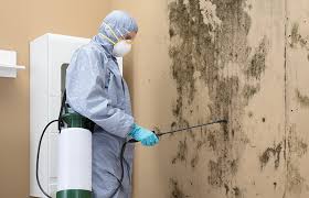 Forensic Mold Investigation in Old Miakka, FL